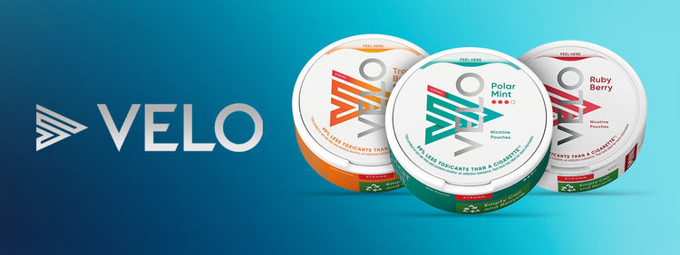 Velo Nicotine Pouches